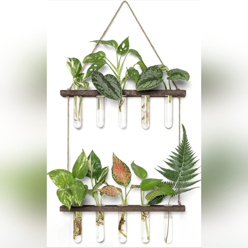 Plant Propagation Wall Hanging Planter